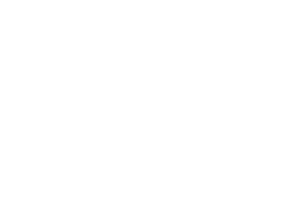 Logo Aurora Hospital Veterinário